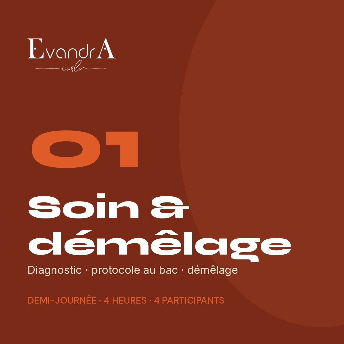 Formation · Module 1 — Soin & démêlage